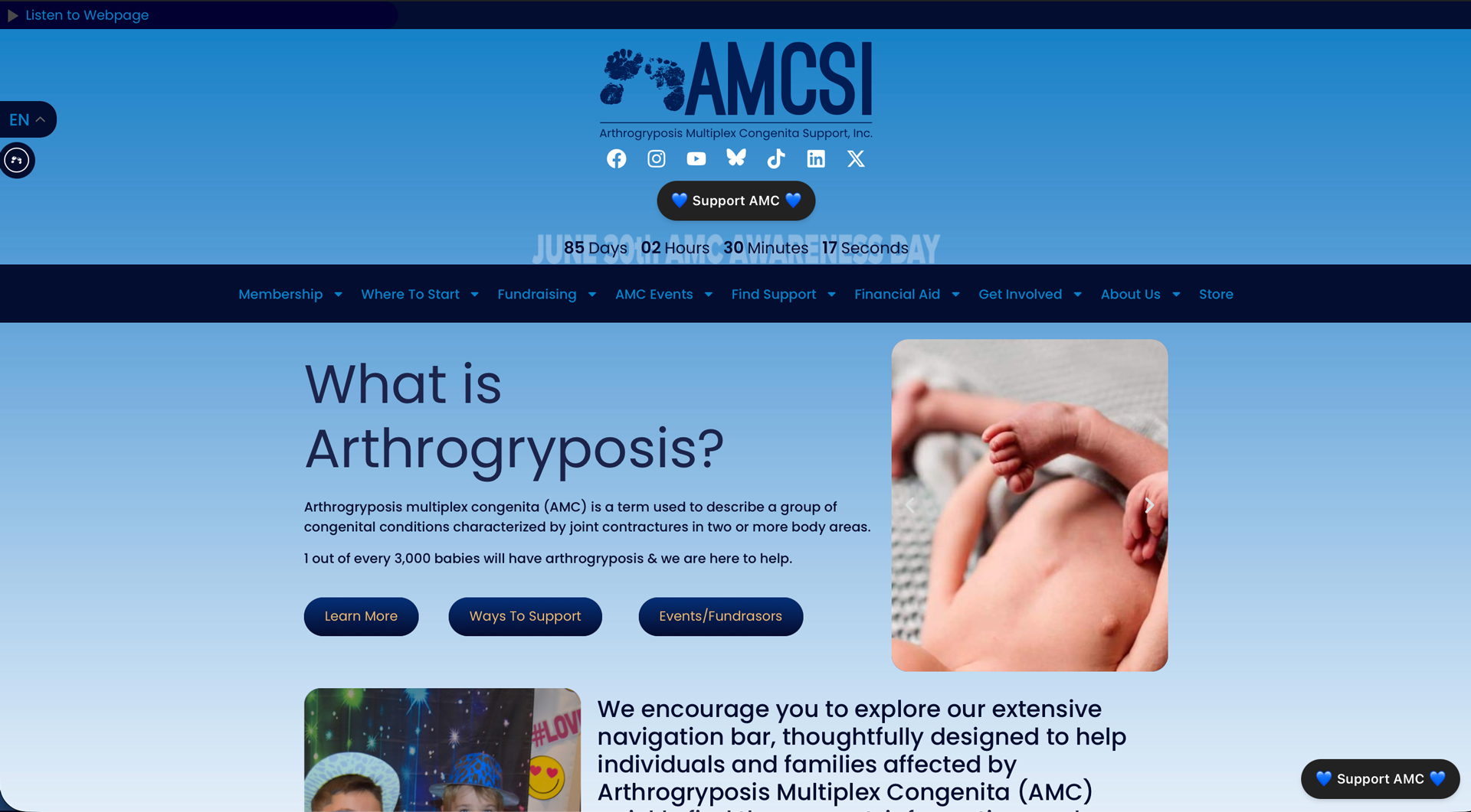 AMCSI web design by TBSDesigns - Ted Houser